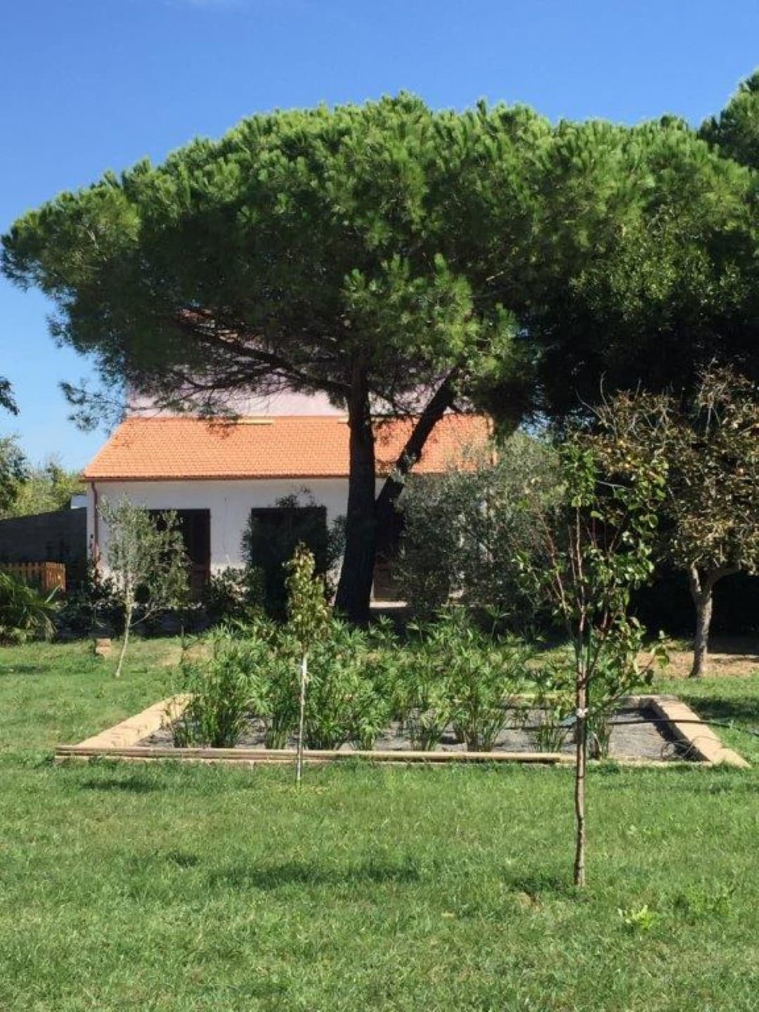 Garden scene 7